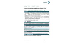 Provitro - Human Endothelial Cells - Brochure