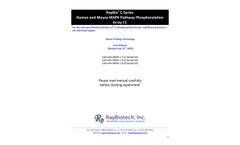 RayBio - C-Series Human and Mouse MAPK Pathway Phosphorylation Array C1 - Manual