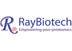Array Testing Services
