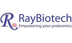 Quantitative Proteomics Services