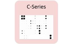 RayBio - Model C1000 - Human Cytokine Antibody Array Kit