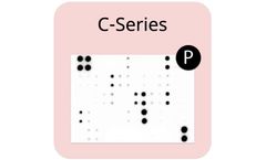 RayBio - Human/Mouse MAPK Phosphorylation Antibody Array 1 Kit