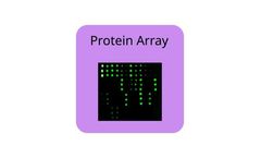 RayBiotech - Model CTLA4 - Epitope Mapping Peptide Array