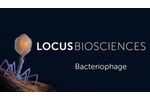 What is Bacteriophage? - Video