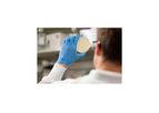 Locus - Model CRISPR-Cas3 - Synthetic Biology