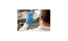 Locus - Model CRISPR-Cas3 - Synthetic Biology