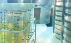 Microbiota Analyses Service