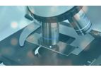 Biotherapeutics Development Services
