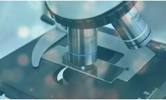 Biotherapeutics Development Services