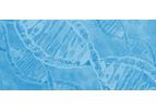 MetaboGen Technology
