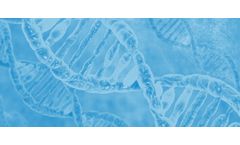 MetaboGen Technology