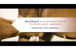 GlycoGuard Take Control of your Newborn Foal`s Intestinal Health! - Video