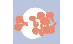 Juno - Mycoplasma Genitalium