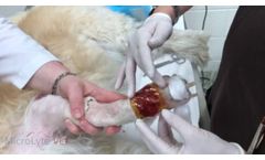 MicroLyte VET Example: Mass Removal - Video