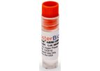 RoosterVial-hBM - Human Bone Marrow-Derived Mesenchymal Stem/Stromal Cells