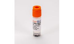 RoosterVial-hBM - Xeno-Free Human Bone Marrow-Derived Mesenchymal Stem/Stromal Cells