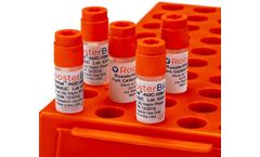 RoosterVial-hUC - Xeno-Free Human Umbilical Cord-Derived Mesenchymal Stem/Stromal Cells