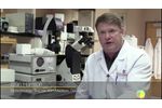 CMaT NSF Stem Dive Video 2020