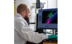 Neurona - Model NRTX-1001 - Inhibitory Neuron Cell Therapy