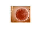 MyoCell - Muscle Stem Cell