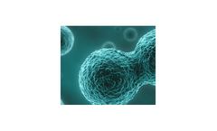 MyoCell - Model SDF-1 - Myoblast Cells
