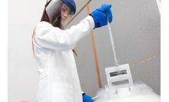 IP and Manufacturing Services