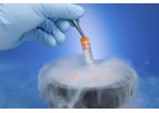 Regeneus Progenza - Cryopreserved Multi-Synergistic Therapy Targeting Pain and Inflammation