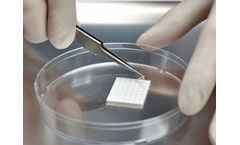 AmnioGraft - Biologic Ocular Transplantation Graft