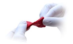 NovaBone - Bioactive Strip Bone Graft