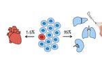 Explain Secretome APOSEC - Video