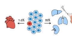Explain Secretome APOSEC - Video