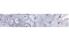 Matrix - 3D Hydrogel Cell