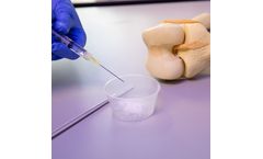 LDGraft - Model rhBMP-2 - Bone Graft