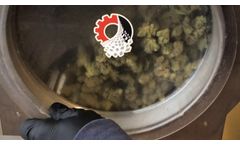 Mini Dry Cannabis Trimmer - Craft Cannabis Colorado - Video