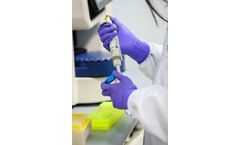 Analytical Services