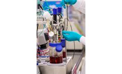 Process Development Services