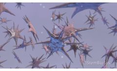 StemBioSys CELLvo Matrix Process - Video