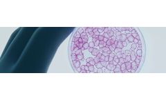Stem Cells & Regenerative Medicine