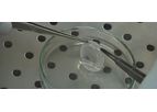 Stem Cell-Based Therapy for Corneal Surface Regeneration