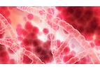 Cell Technology