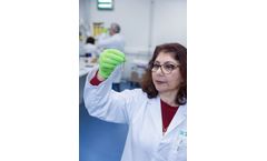 DHEAs Antibody
