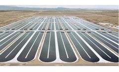 Greenskill - Microalgae
