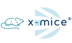 Oncodesign - Model Chi-Mice - Humanized Technology