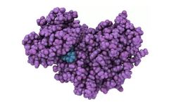 DRIVE-IDDS - Integrated Drug Discovery Service