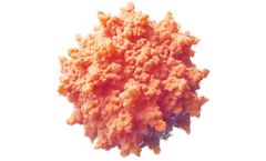 Recombinant Adeno-Associated Virus
