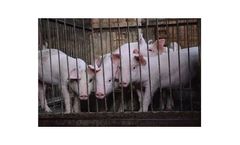 Air sampling and environmental waters for animal health & aquaculture industry