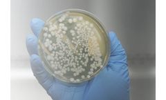 Microbial Product Testing Services