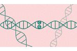 Deep Genomics Introduction - Video