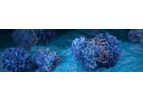 Arenavirus-Based Therapies Technology