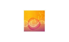 One-Step PrimeScript RT-PCR Kit for Real-time RT-PCR